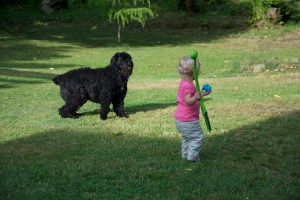 Throwing the ball for your dog